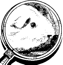 mouse_glass.gif (4439 bytes)